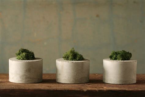 Горшки из бетона [Мастер-классы и идеи своими руками]