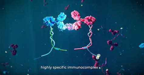 Precision Proteomics A Change In Perspective Alamar Biosciences