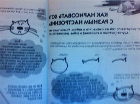 Книга: "Как нарисовать любую зверюшку за 30 секунд" - Павел Линицкий ...