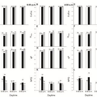 Changes In The Chlorophyll A Fluorescence Parameters Fv Fm A PSII