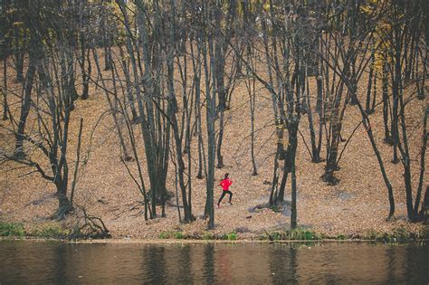 Беговые места Киева. Голосеевский парк
