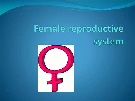 Ppt Female Reproductive System Powerpoint Presentation Free Download