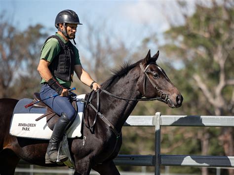 TOO DARN HOT GB Ex LA LA LUCHIE Colt Sizzles On Frosty Mudgee Mornings