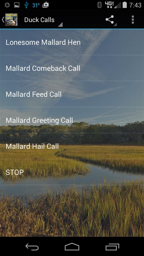 Mallard Duck Calls:Amazon.co.uk:Appstore for Android