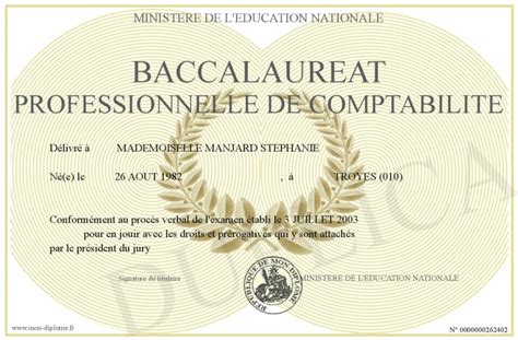 Baccalaureat Professionnelle De Comptabilite