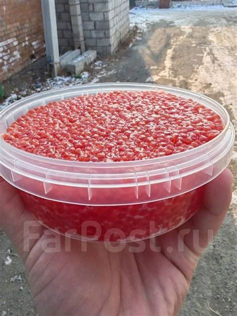 Икра горбуши, малосол фасовка по 250гр и 500 гр 5000р кг, в наличии ...