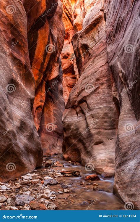 Kanarra Creek Slot Canyon In Zion National Park Utah Stock Photo