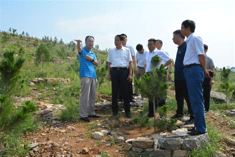 济宁市自然资源和规划局（市林业局） 市内新闻 国家林业和草原局到我市调研森林防火网格管理化工作