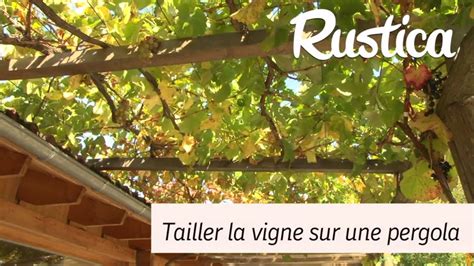 Conduite Et Taille D Une Vigne Sur Une Pergola YouTube