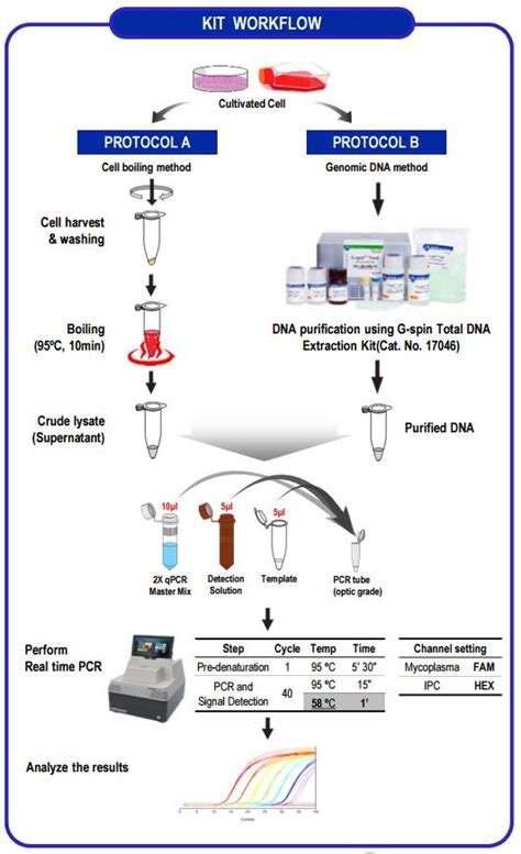 E Myco Valid Qpcr Mycoplasma Detection Kit Cell Culture Life Sciences