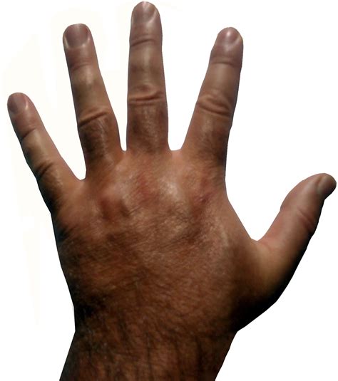 Hand Free Stock Photo - Public Domain Pictures