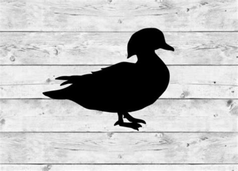 Wood Duck Decal Wood Duck Sticker Duck Decal Duck - Etsy