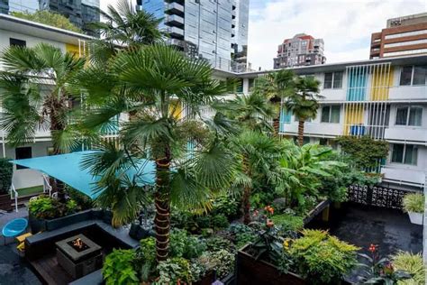 The Burrard Hotel Review Best Boutique Hotel In Vancouver Nomadasaurus
