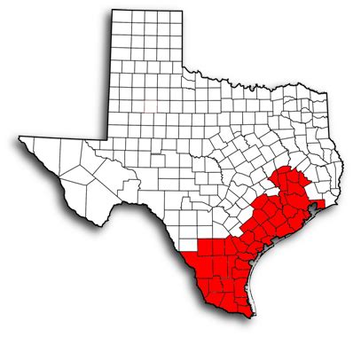 Texas Defensive Driving Course Final Exam Study Guide 16