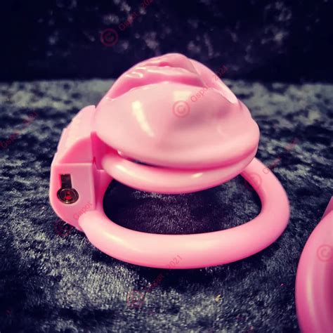 Pretty Pussy Cock Cage GSpot Adult Variety Store