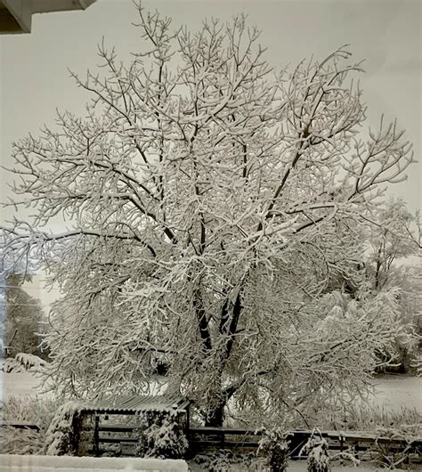 PM Water Cooler Naked Capitalism