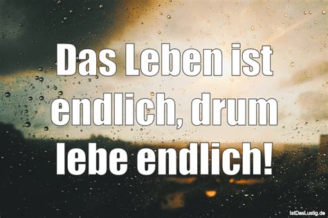 Das Leben Ist Endlich Drum Lebe Endlich Istdaslustigde