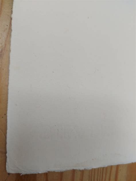 Artistic Nude Print BFK Rives Paper Print Vintage Erotica Retro Nude Print Original Black