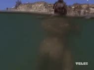 Shark Megalodon nude pics página