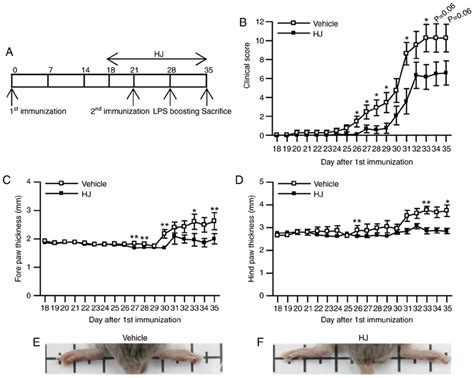 Alleviation Of The Development And Progression Of Collagen Induced