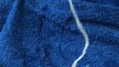 Slow Motion Cum Shot Free Sex Video RedTube