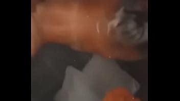 MacNBunny Hacer Una Porno XVIDEOS