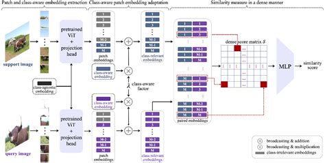 Class Aware Patch Embedding Adaptation For Few Shot Image