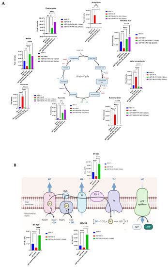 Venetoclax Resistant Mv4 11 Leukemic Cells Activate Pi3kakt Pathway