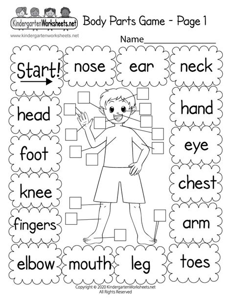 Ace Body Parts Worksheet For Kindergarten Daily Routine Flashcards Pdf