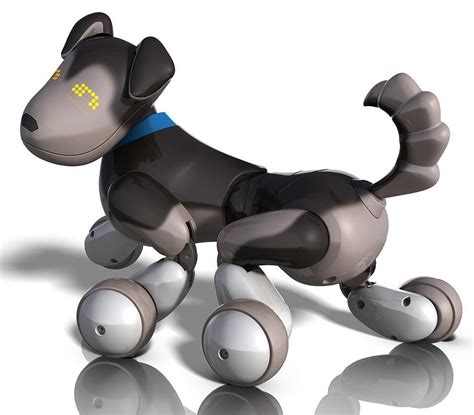 What Does A Zoomer Puppy Do