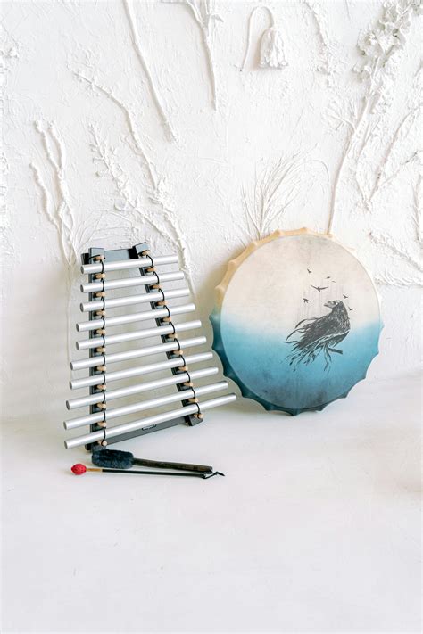 Raven Photos, Download The BEST Free Raven Stock Photos & HD Images