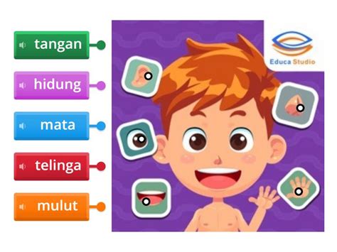 bagian bagian tubuh labelled diagram