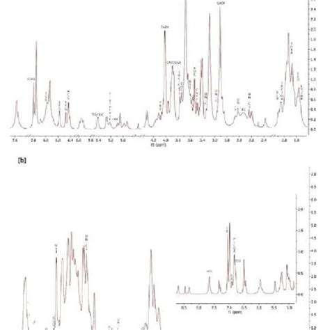 The Representative Of H Nmr Spectra Of Tea Leaf A Spectrum Of S A