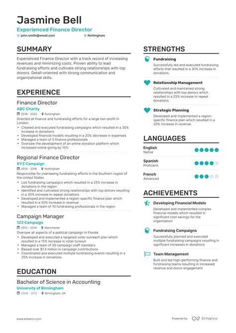finance director cv examples