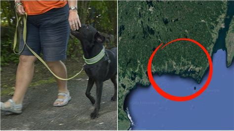 Svensk Kvinna Brukade Ha Sex Med Hundar F R Nd Vara Hundvakt