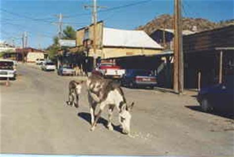 Oatman - Arizona Ghost Town