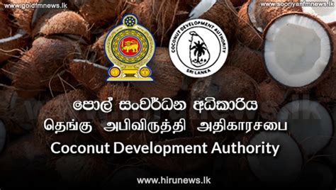 Higher Prices For Coconuts At The Auction Hiru News Srilanka S