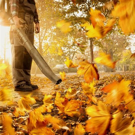 The Best Leaf Removal Service In Coeur D Alene Aspen Lawn Care