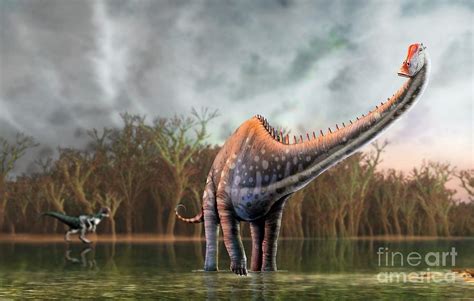 Diplodocus Dinosaur Photograph By Mark Garlickscience Photo Library