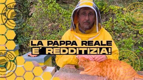 Uno dei Modi più REDDITIZI per fare Apicoltura YouTube