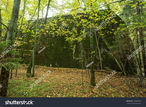 Wolfs Lair Adolf Hitlers Bunker Poland Stock Photo 528393658 Shutterstock