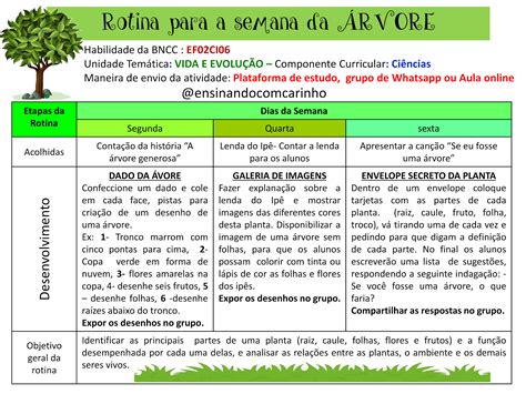 Plano De Aula Dia Da Arvore