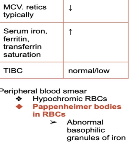 MICROCYTIC ANEMIA Flashcards Quizlet