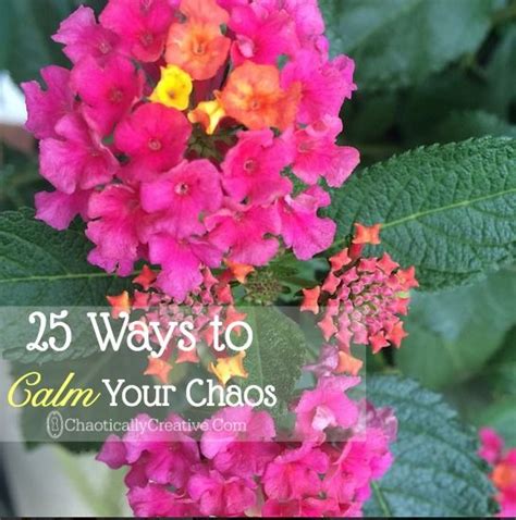 25 Ways To Calm Your Chaos Chaotically Creative Chaos Calm Blog Love