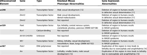 Mouse Knockout And Gene Expression Phenotypes For Genes Adjacent To The