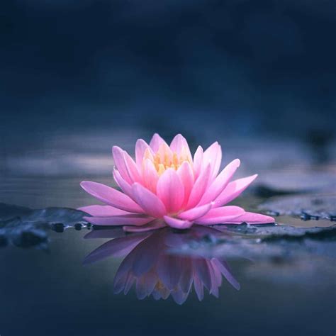 7 Powerful Symbols With Deep Meanings - Awakening State