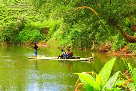 Bamboo Rafting Experience In Wayanad Tripoto