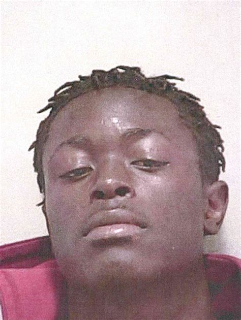 Mugshots Ocala Florida Marion County