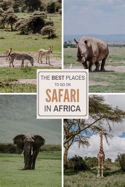 The Best Places to Go on Safari in Africa #adventure #travel #