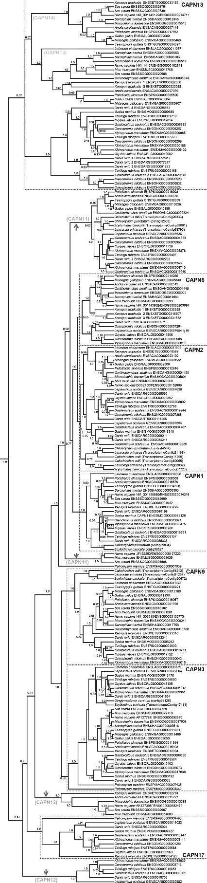 Figure 1 From Edinburgh Research Explorer Characterization Of The